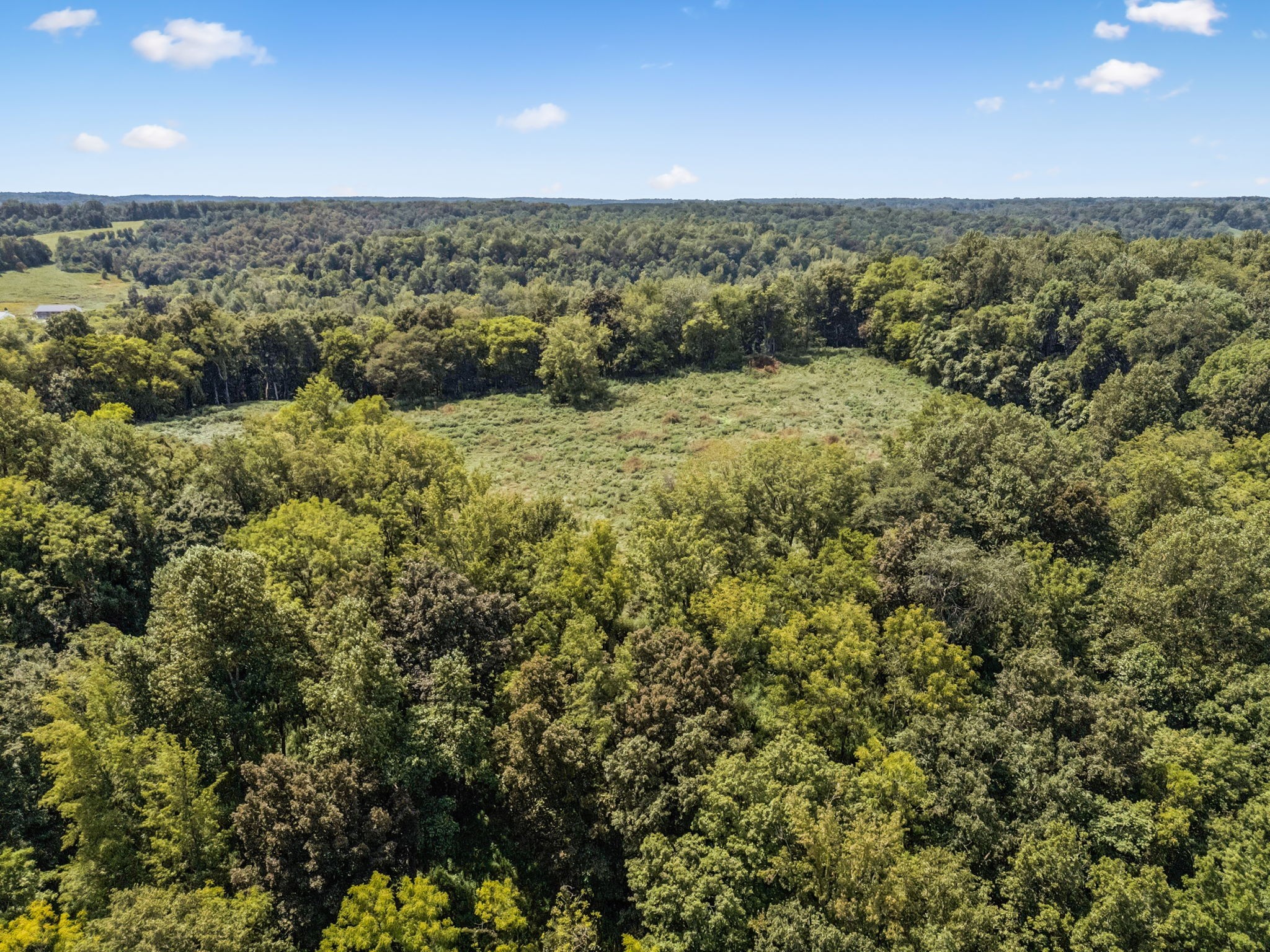 4951 Weakley Creek Rd