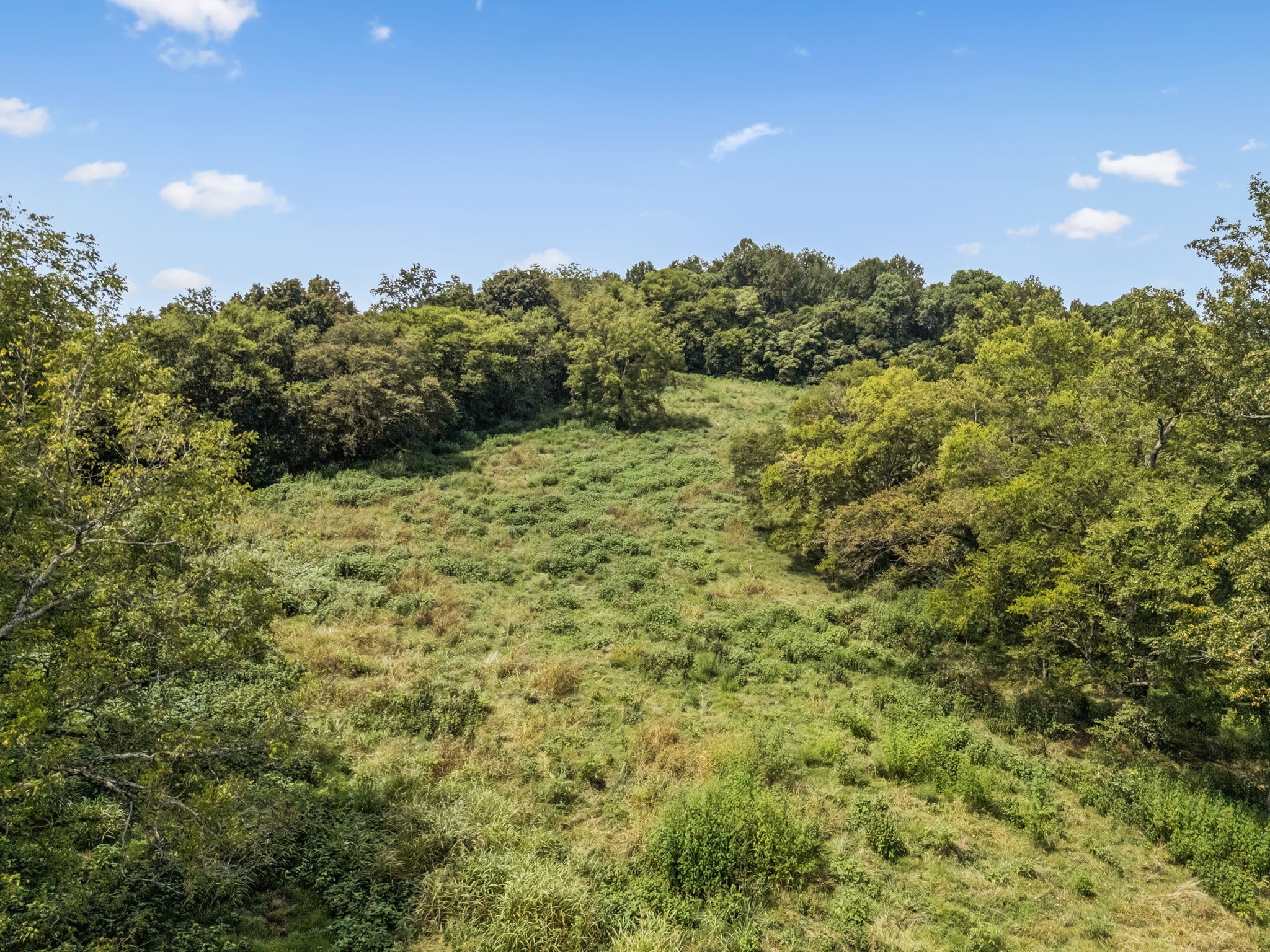 4951 Weakley Creek Rd