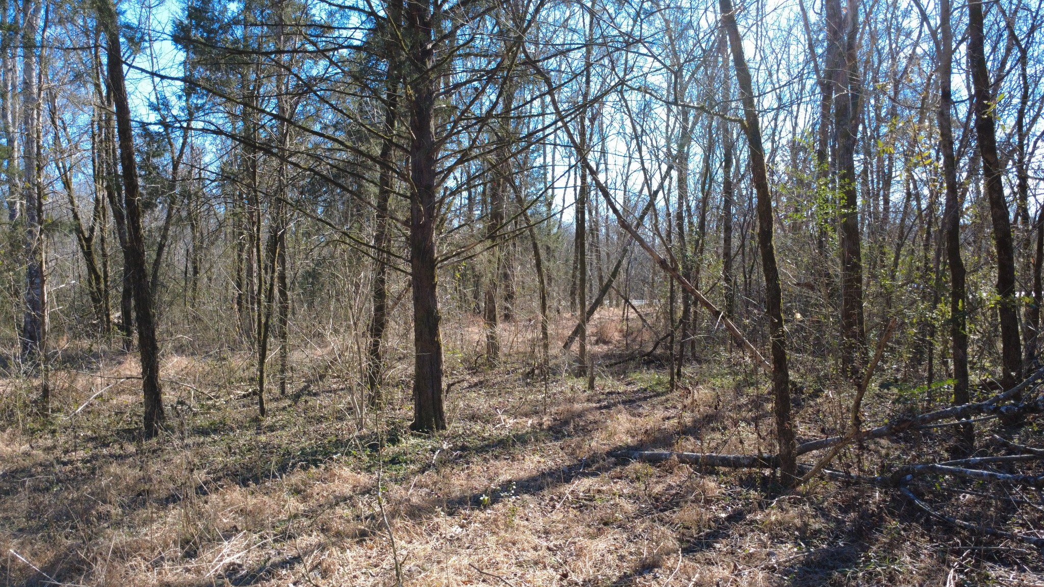 0 Carters Creek Pike