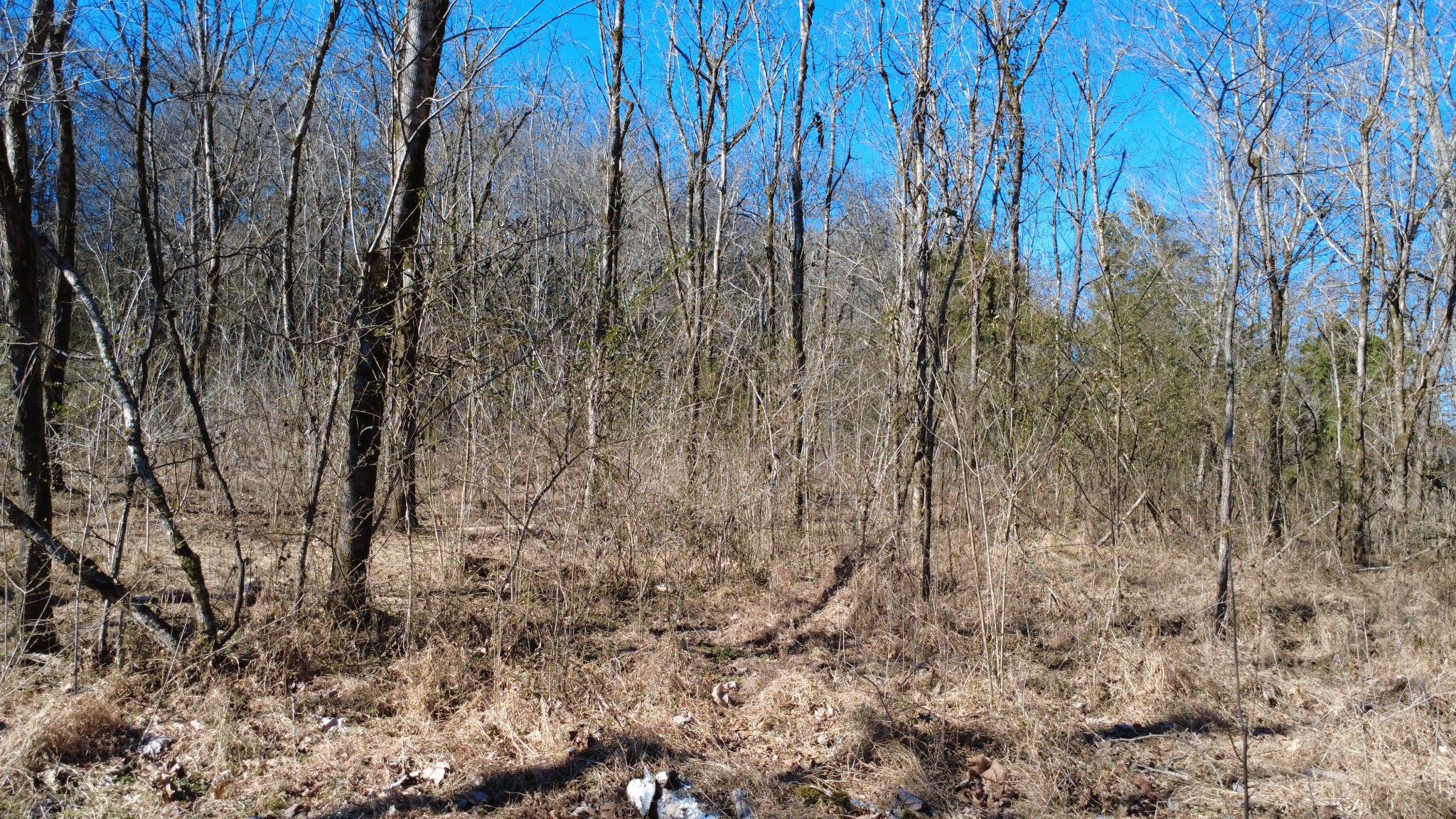 0 Carters Creek Pike