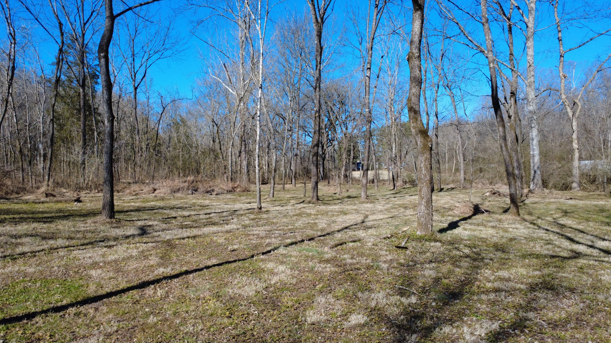 0 Carters Creek Pike