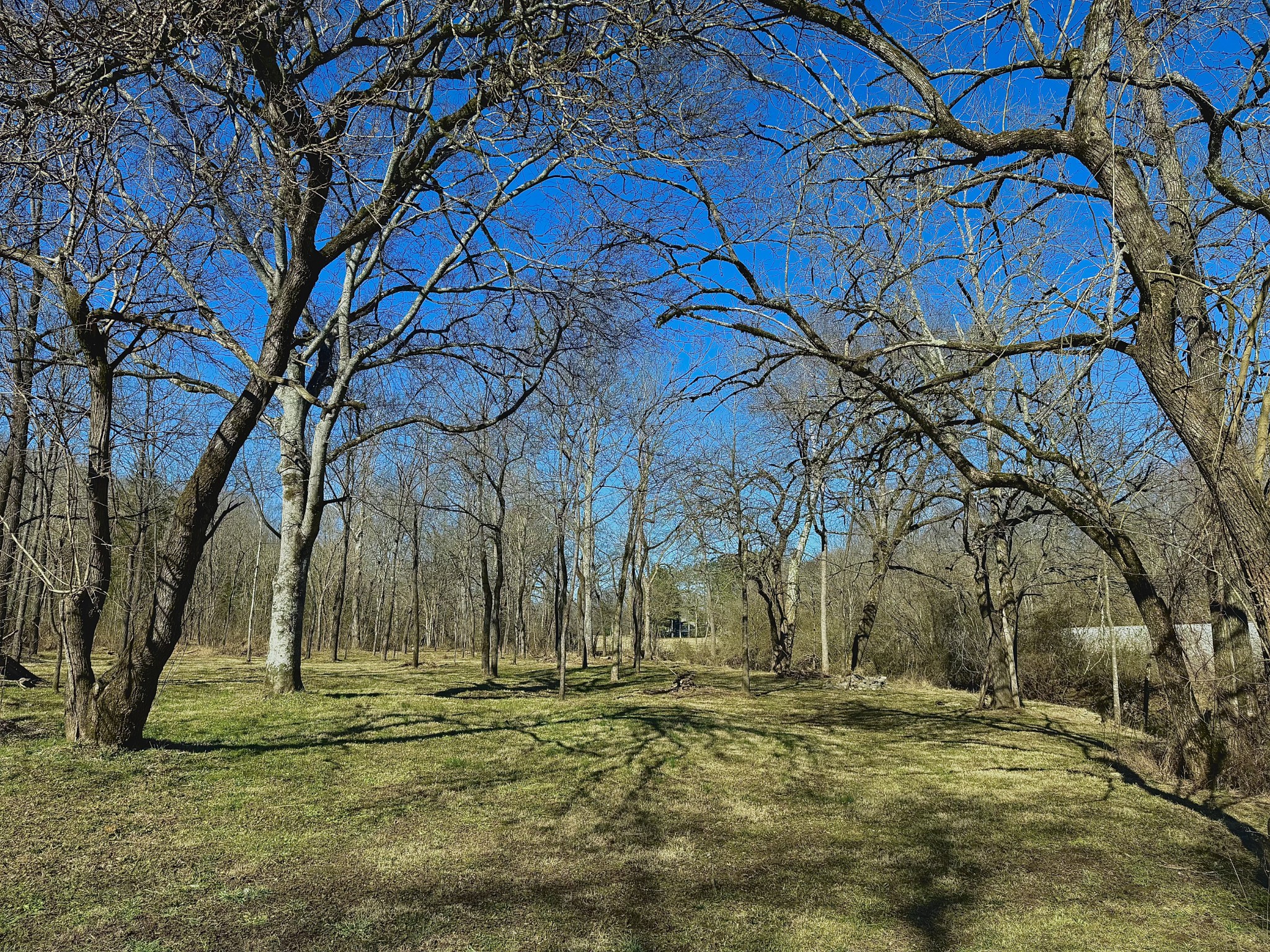 0 Carters Creek Pike