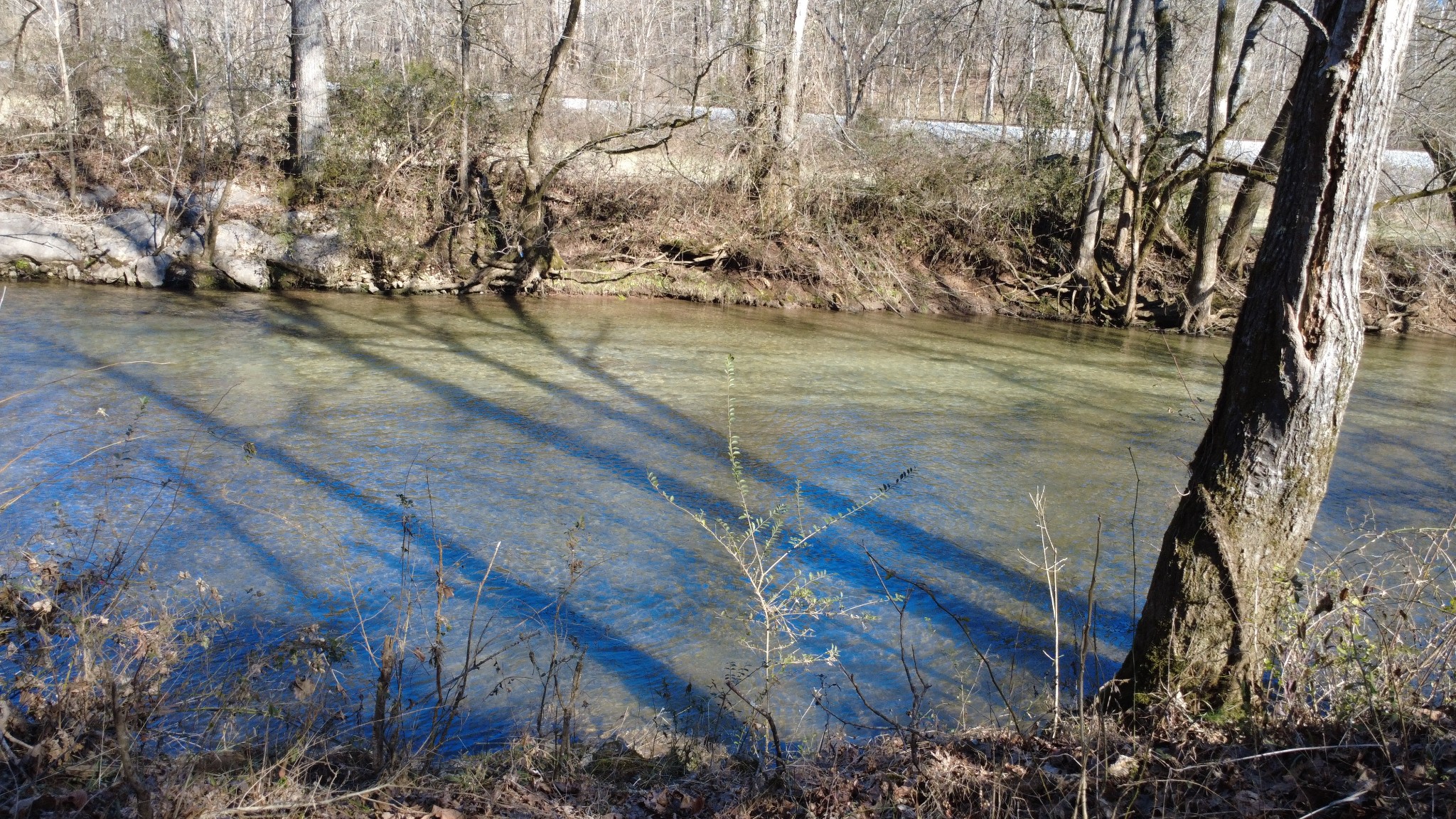 0 Carters Creek Pike