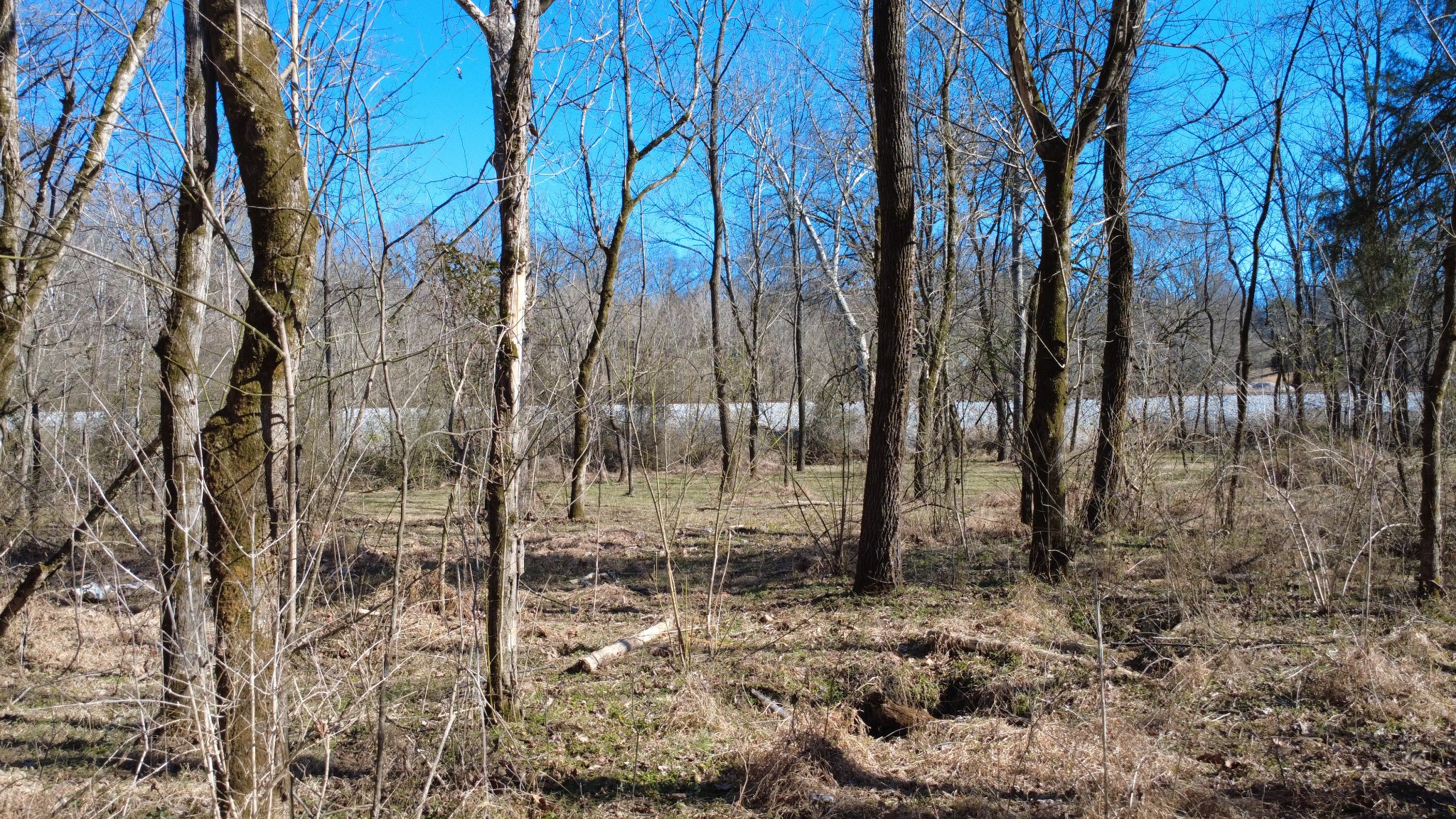 0 Carters Creek Pike