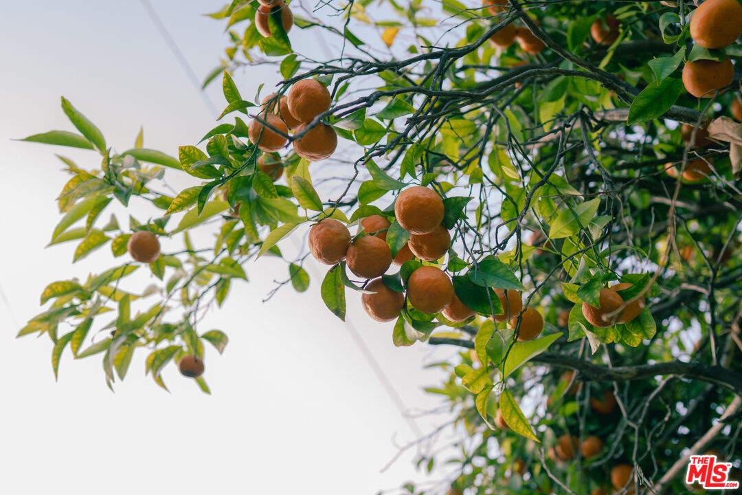 2376 Las Colinas Ave