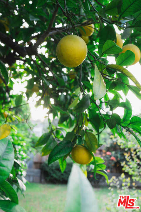 2376 Las Colinas Ave