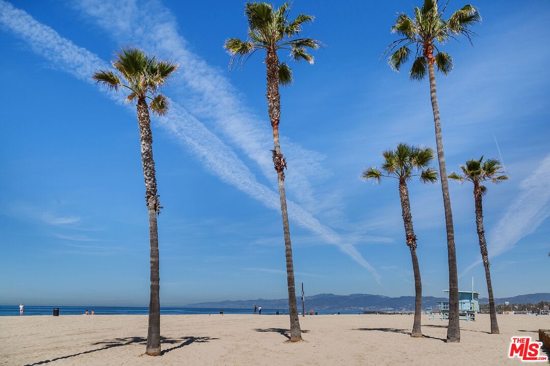 1 Driftwood St Unit: 6