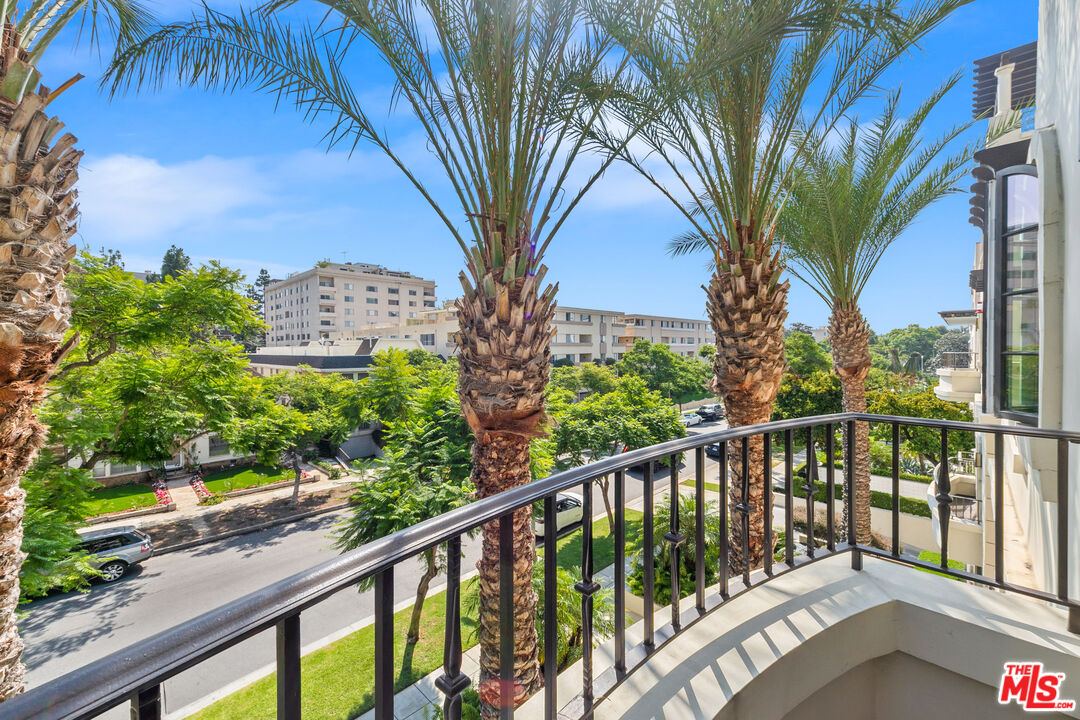 443 N Palm Dr Unit: 302