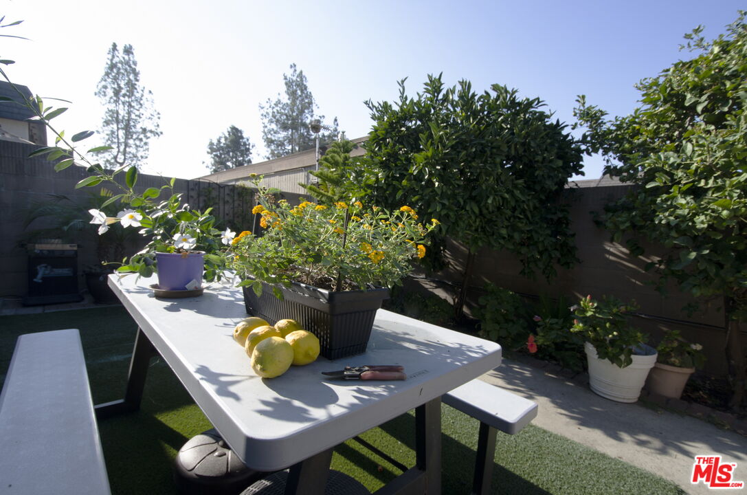 12362 Willowbranch Ln