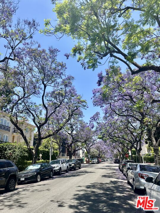 324 N Palm Dr Unit: 206