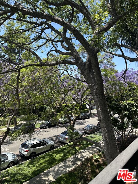 324 N Palm Dr Unit: 206