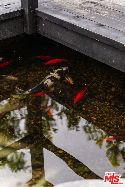 537 N Alta Vista Blvd