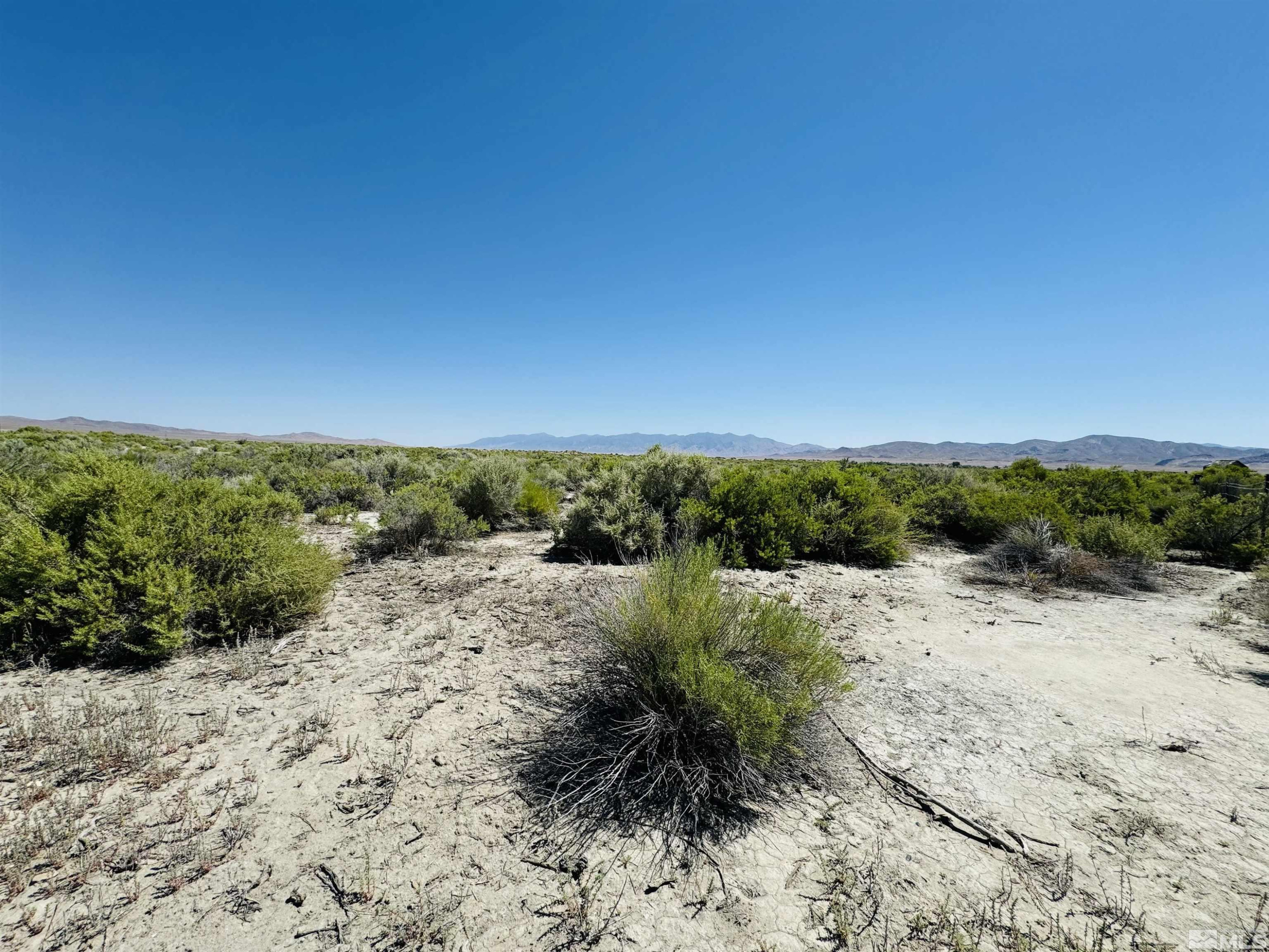 2210 Wagon Train Road