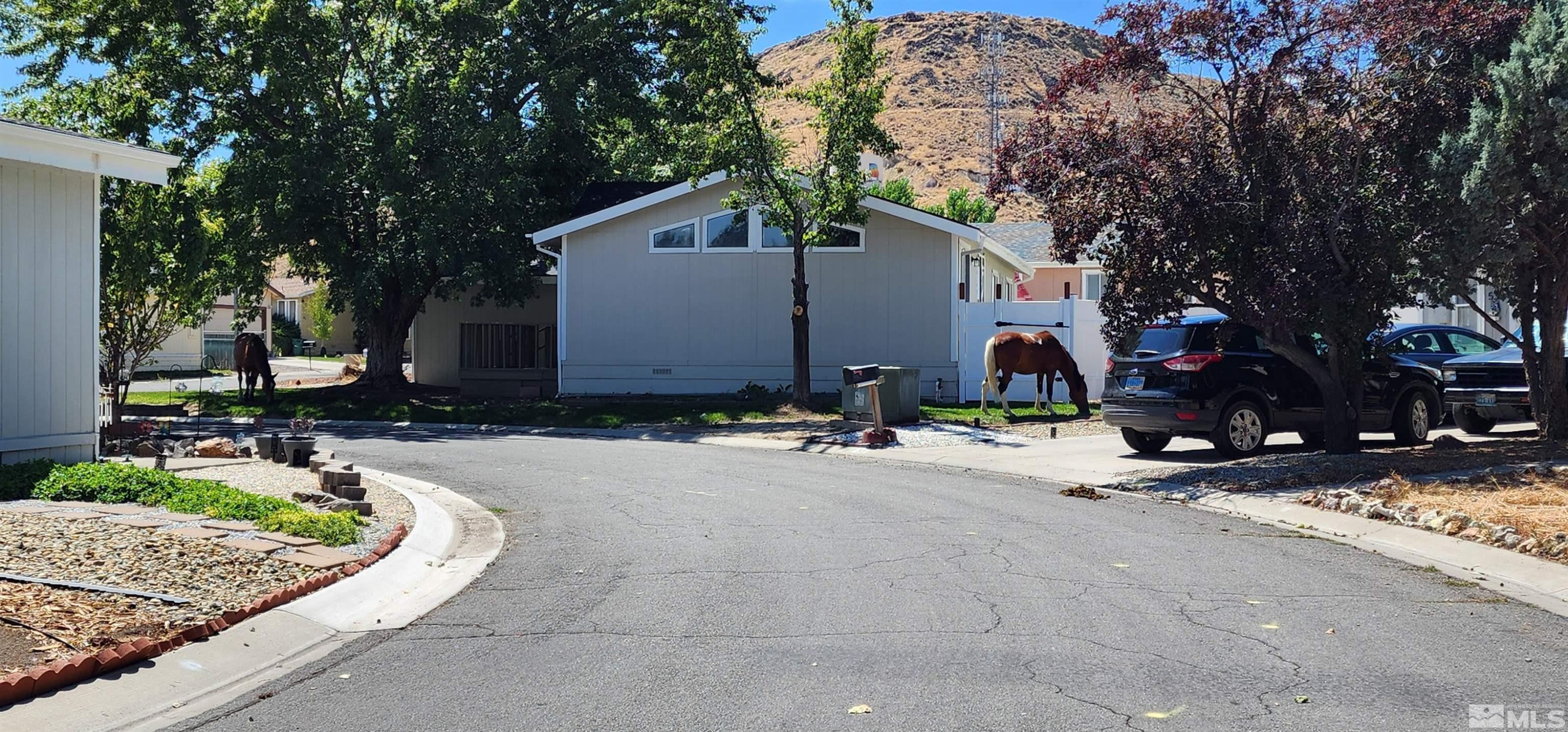 289 Ave De La D'Emerald