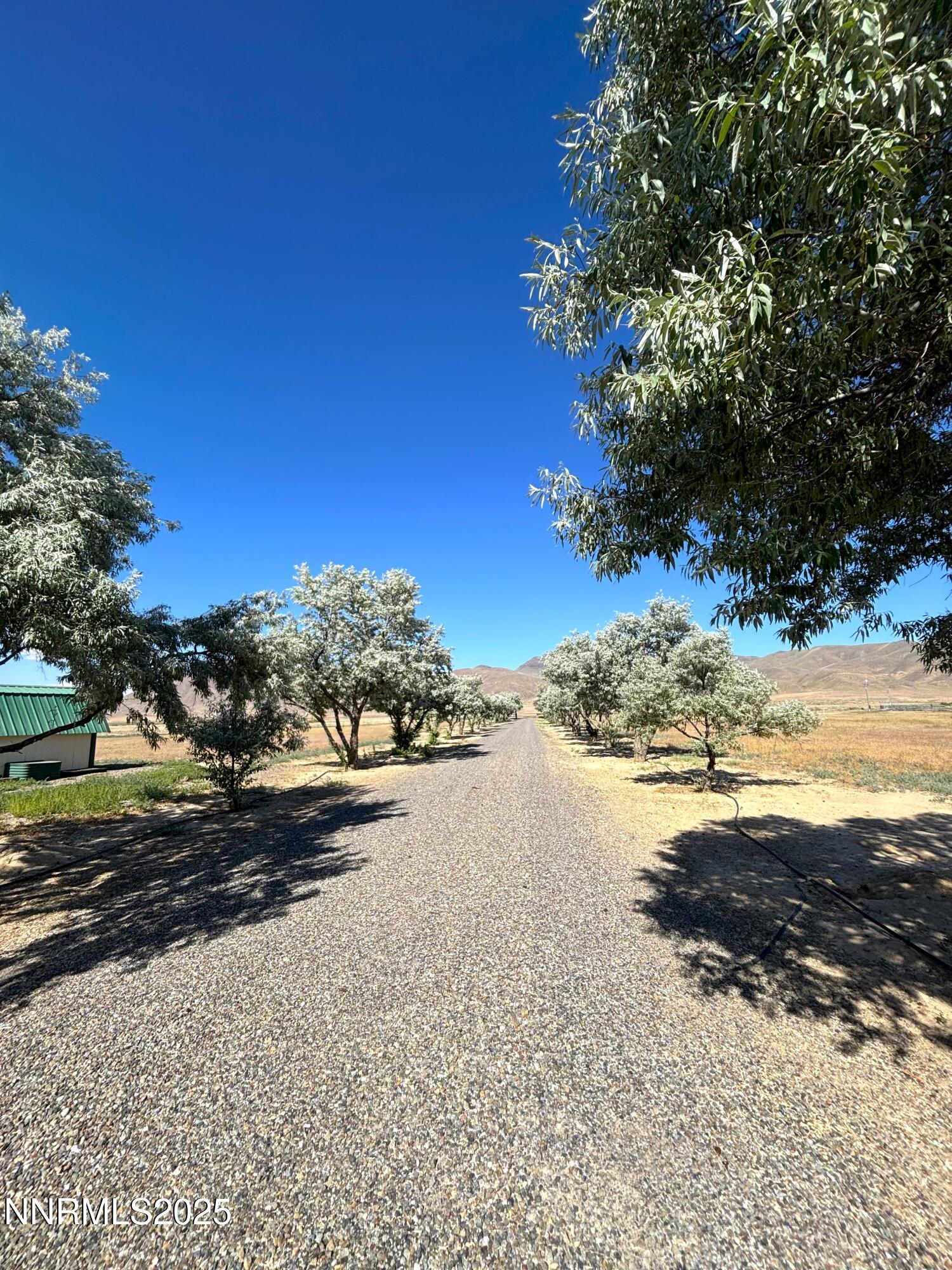 1000 Skyline Boulevard