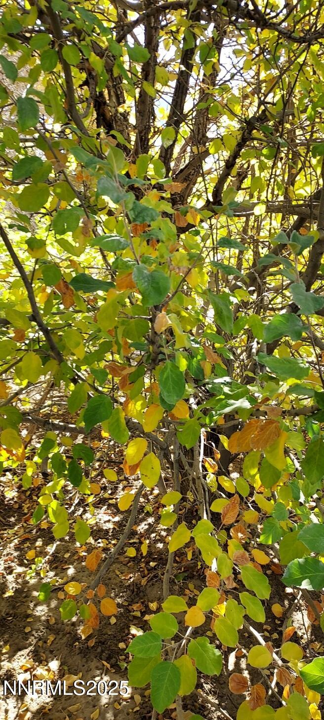 4710 Crosswind Avenue