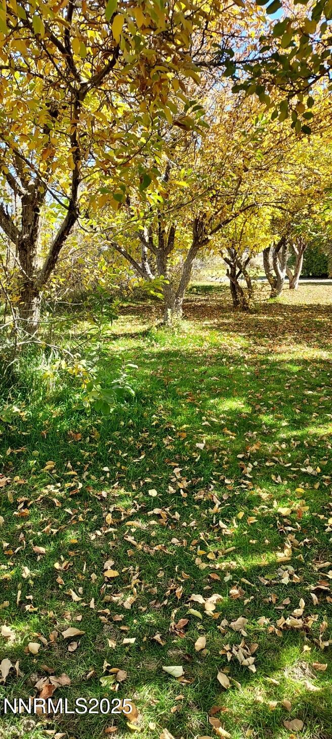 4710 Crosswind Avenue