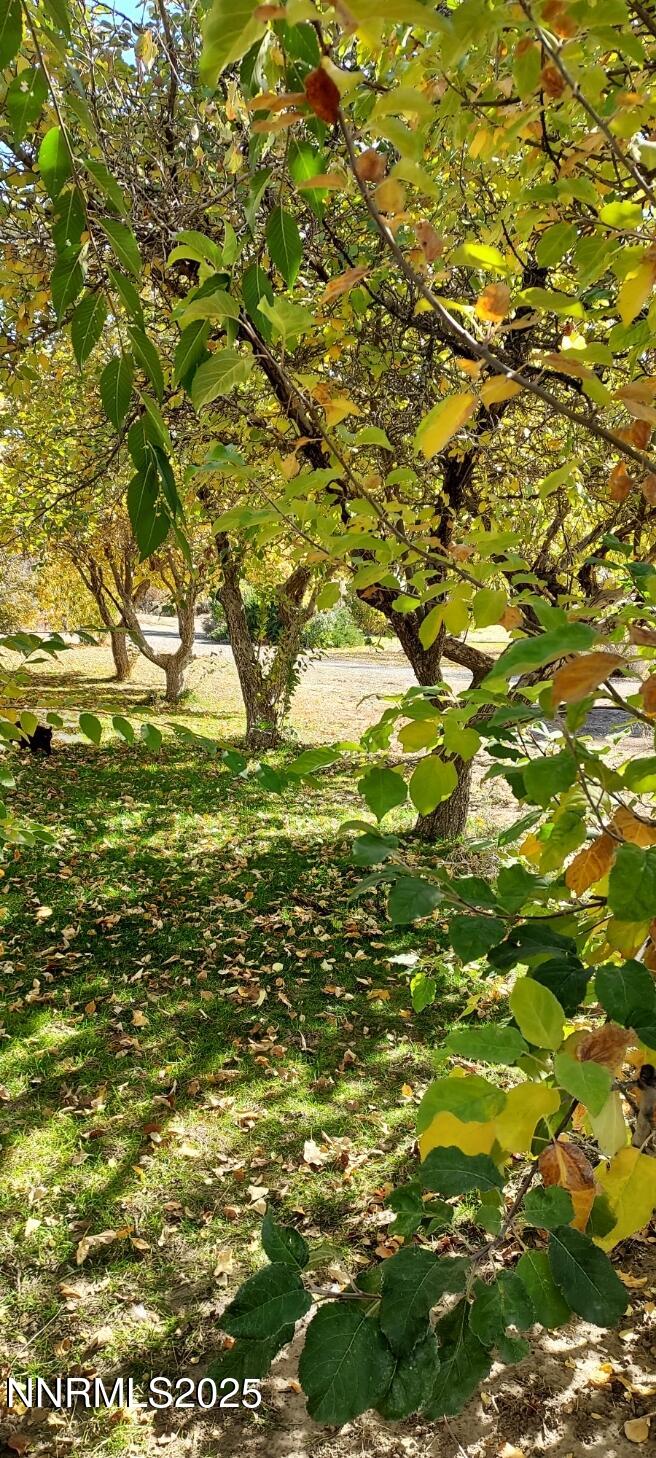 4710 Crosswind Avenue