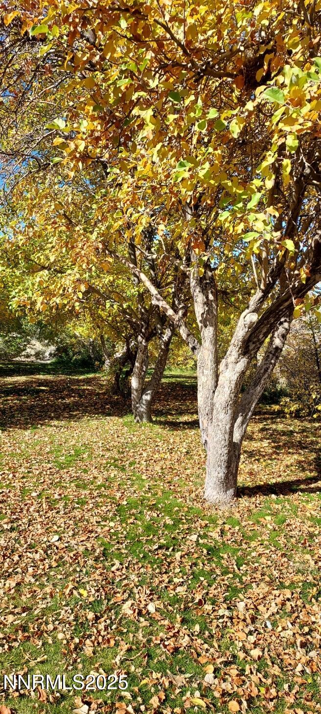 4710 Crosswind Avenue