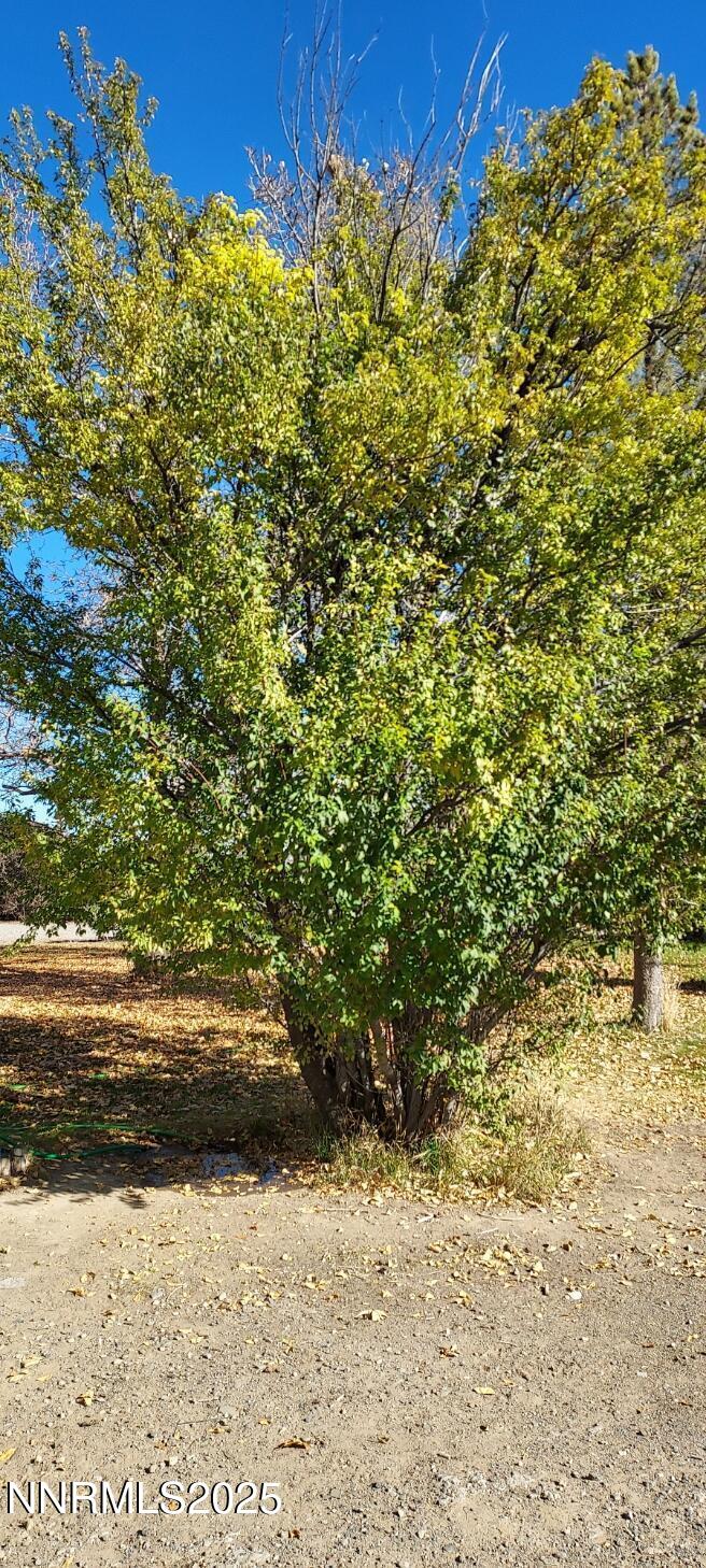 4710 Crosswind Avenue