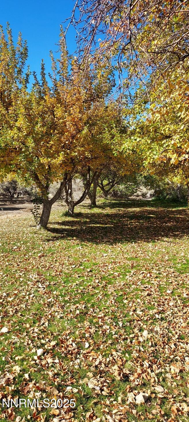 4710 Crosswind Avenue