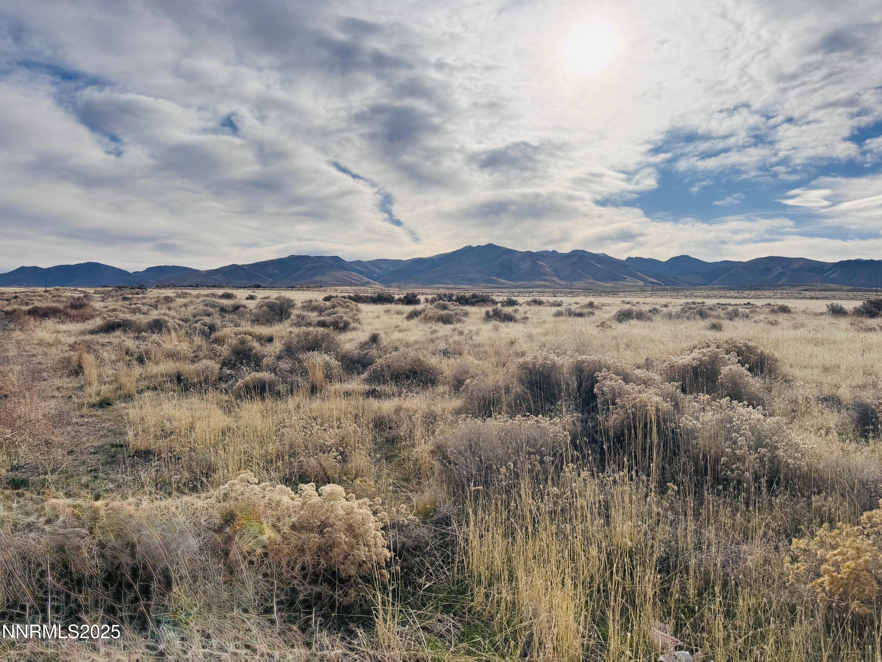 16-0541-03 Walther Lane