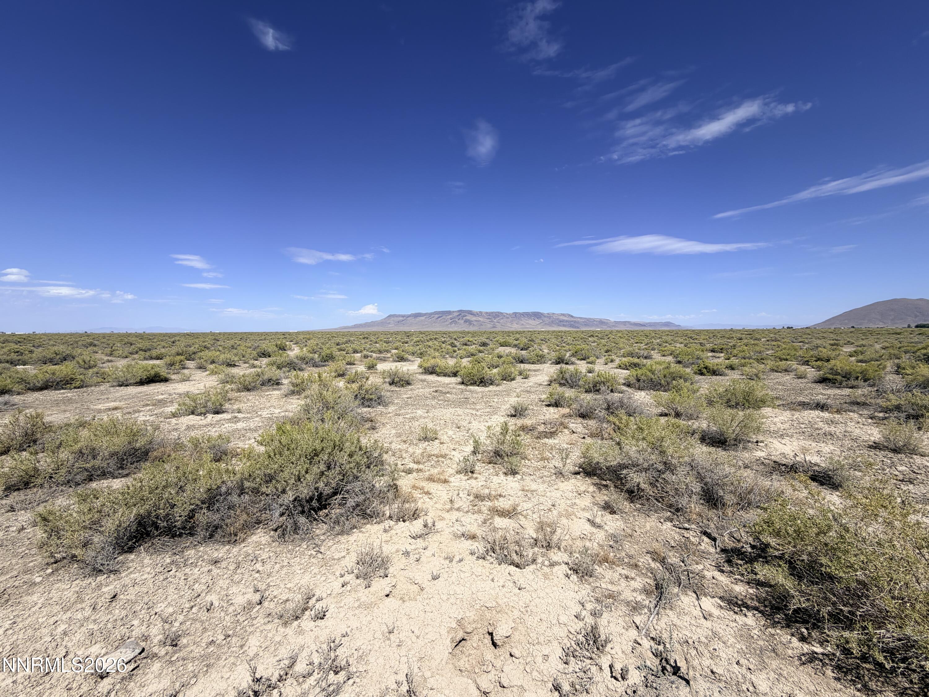 Open desert land with sparse shrubs and distant mountains under a wide blue sky.