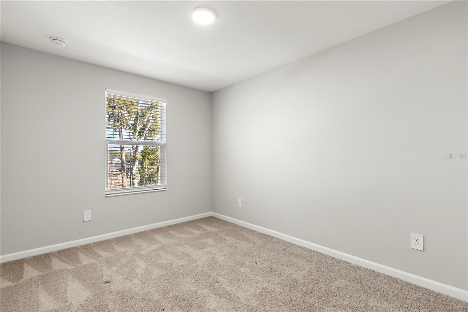 411 CAPE HONEYSUCKLE PL