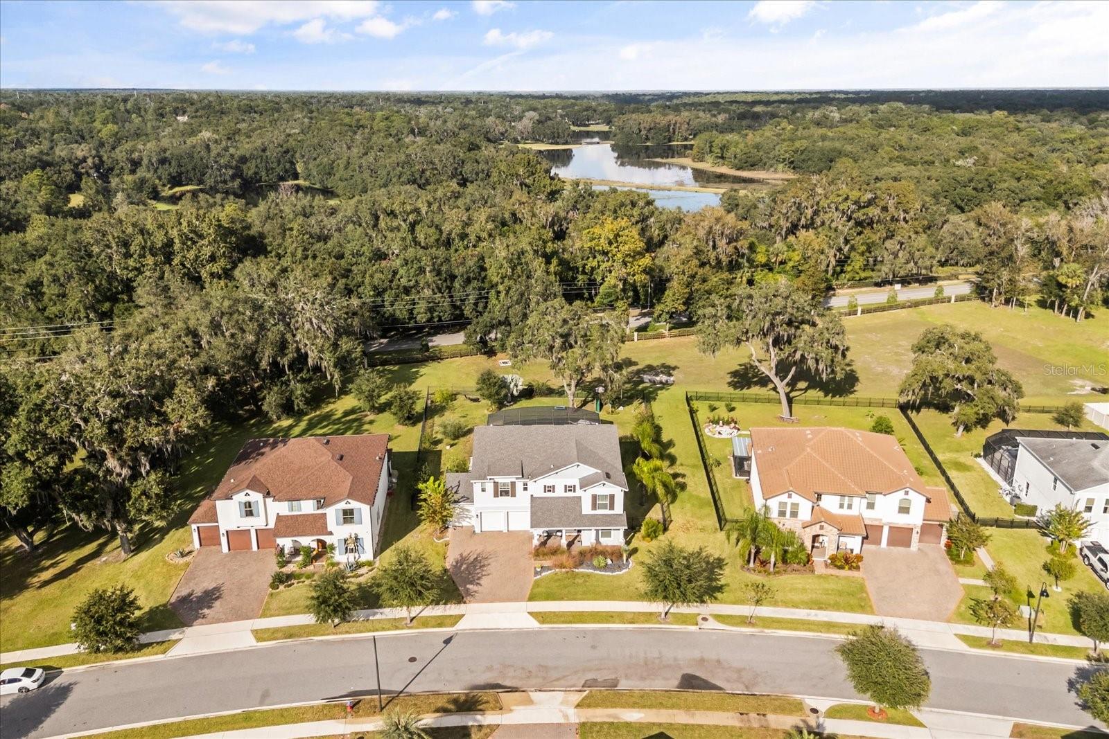 639 PRIMROSE WILLOW WAY