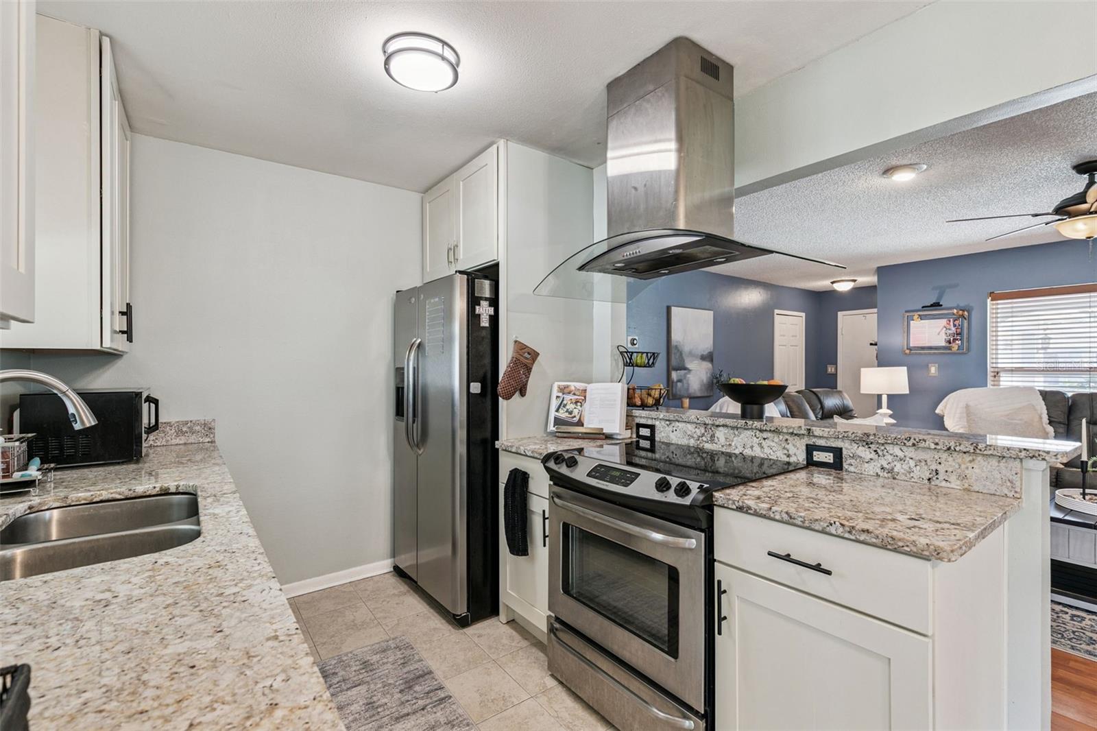 102 N SILVER CLUSTER CT