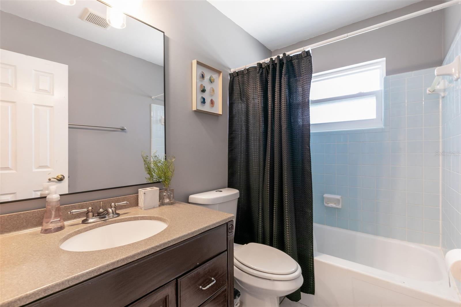 102 N SILVER CLUSTER CT