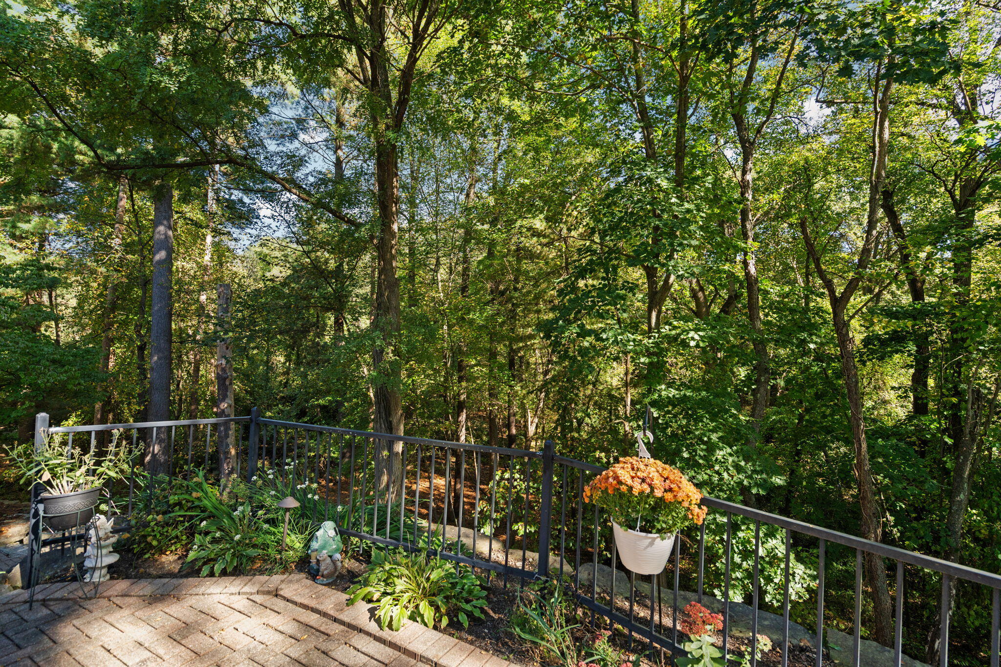 7203 River Ridge Court