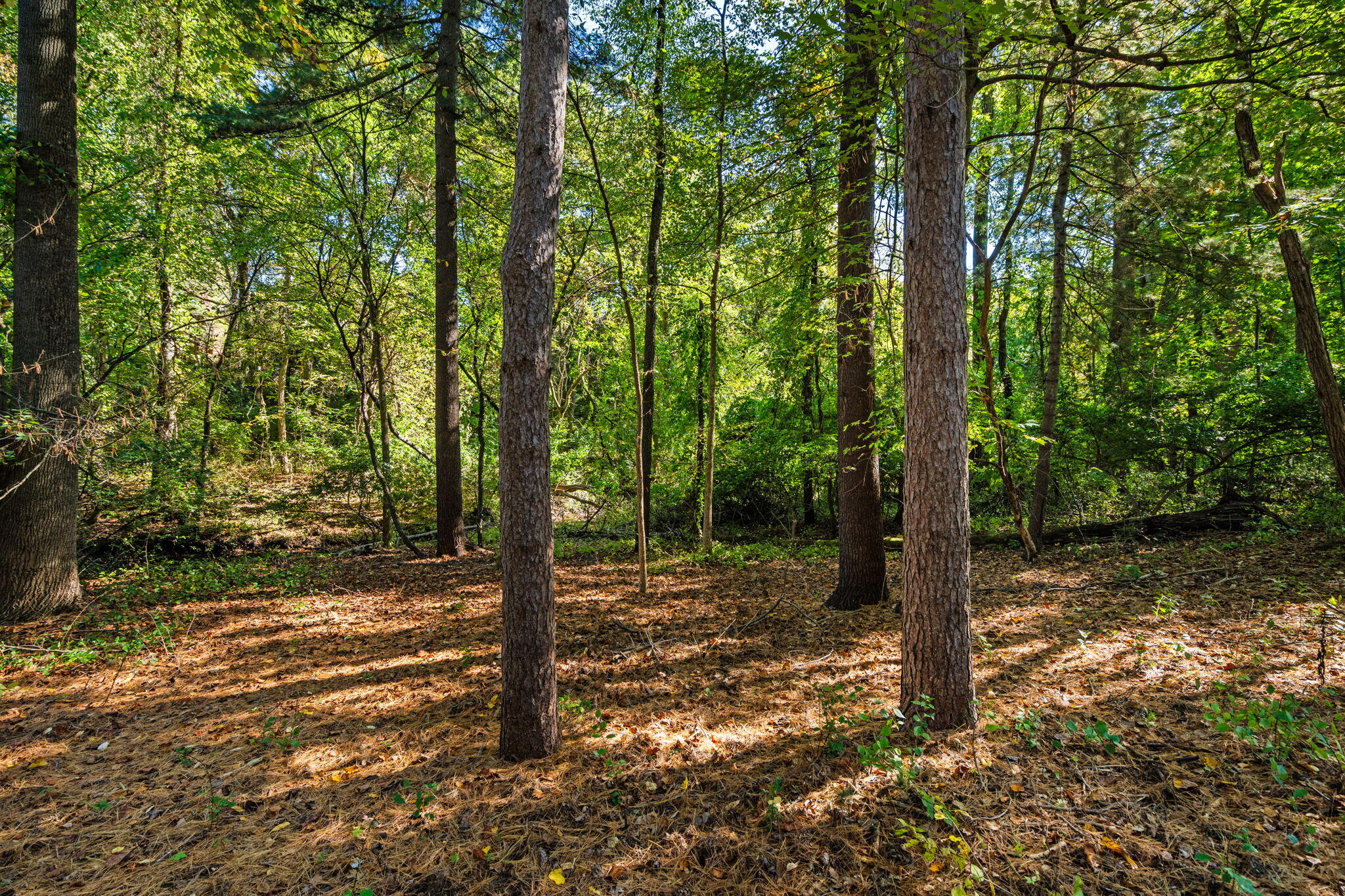 7203 River Ridge Court