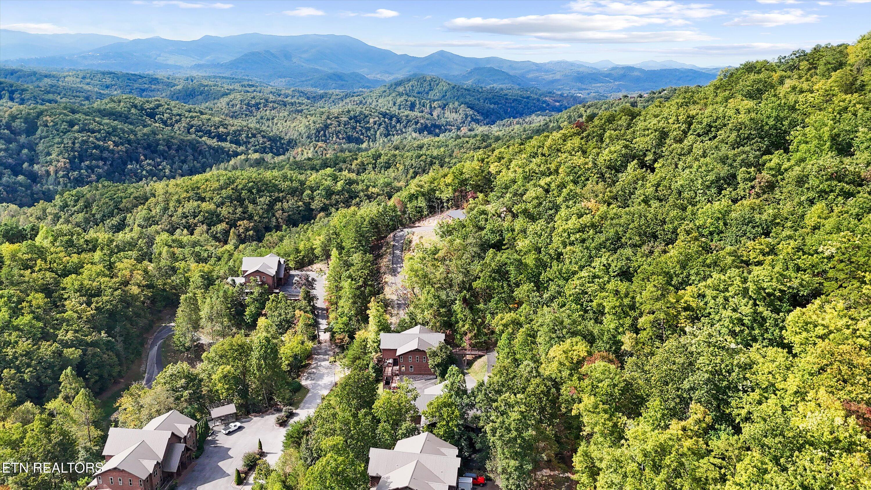 Blackthorn Tr, Sevierville