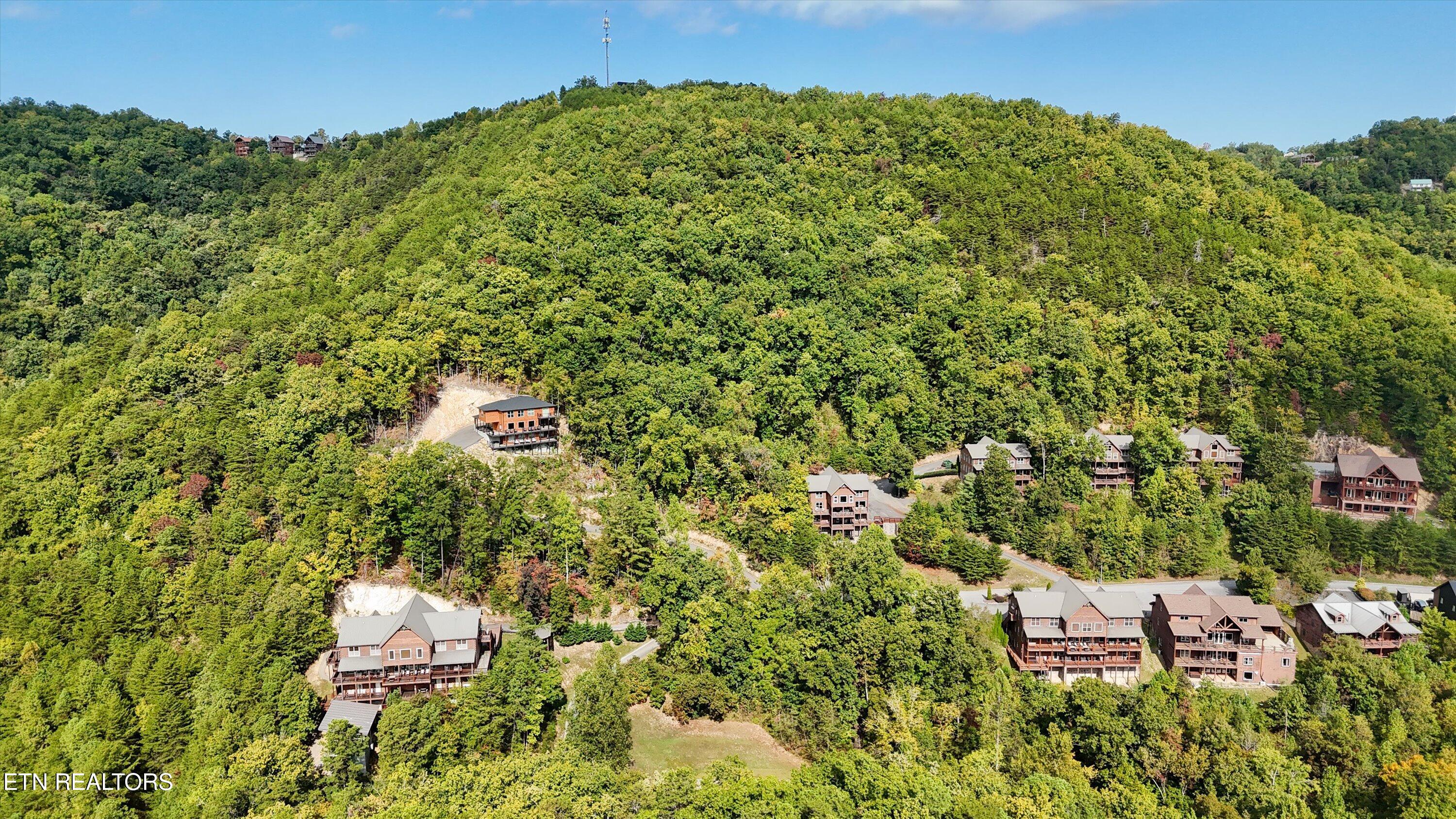 Blackthorn Tr, Sevierville