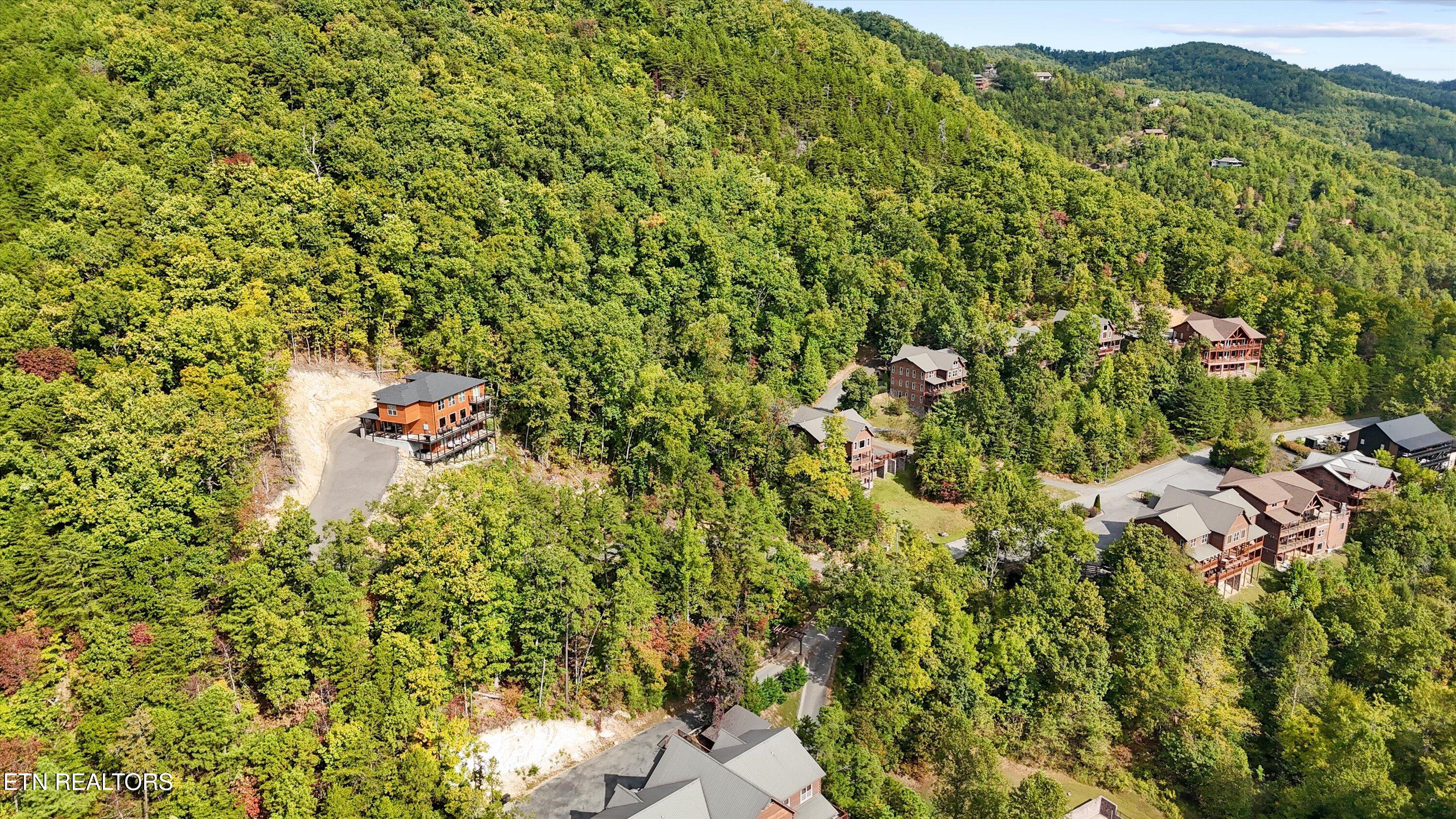 Blackthorn Tr, Sevierville