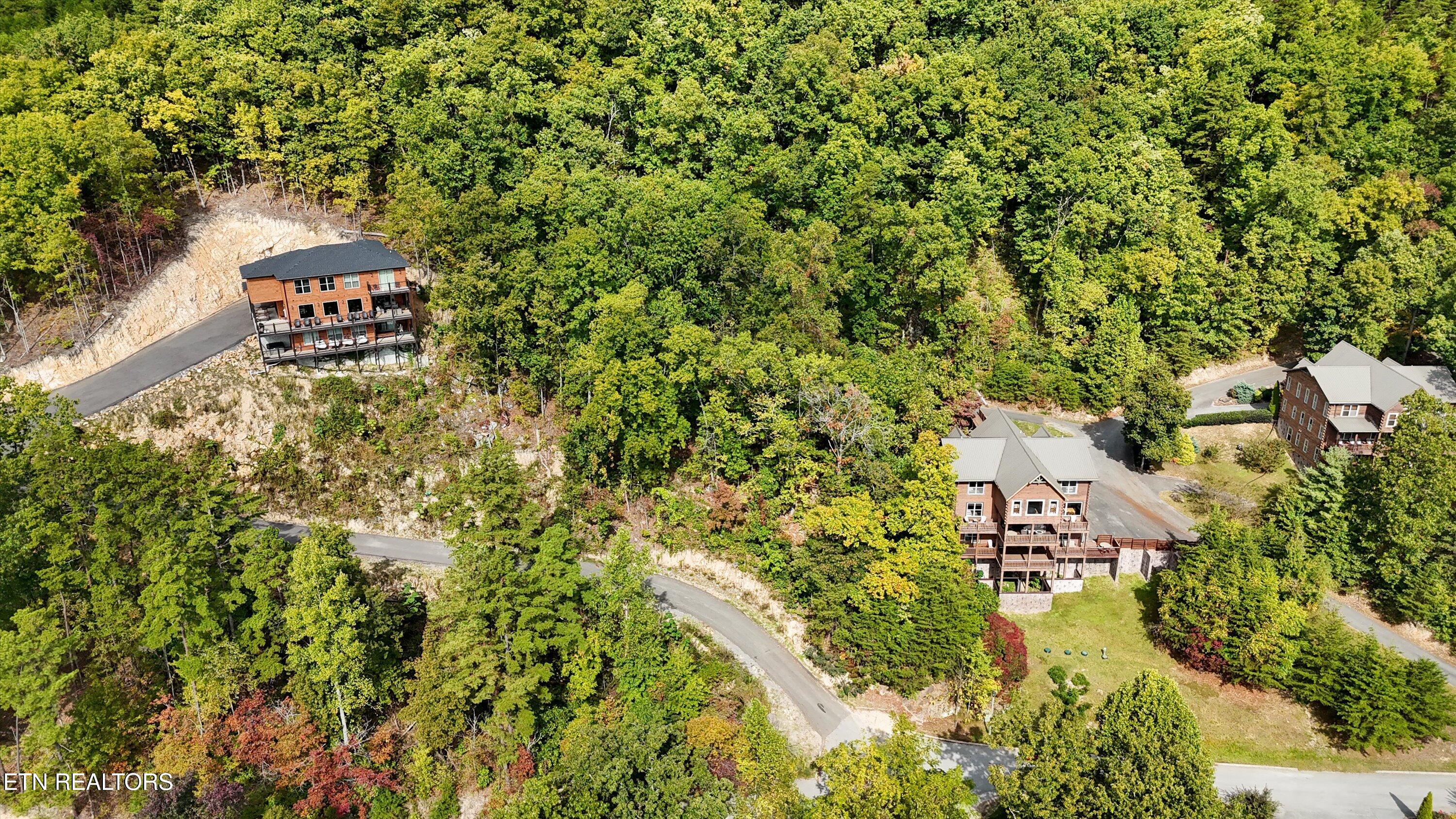 Blackthorn Tr, Sevierville