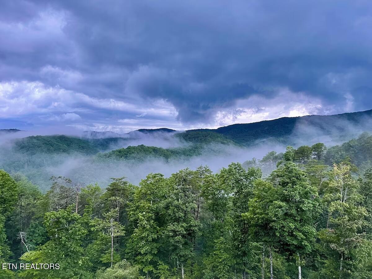 3142 Smoky Bluff Tr
