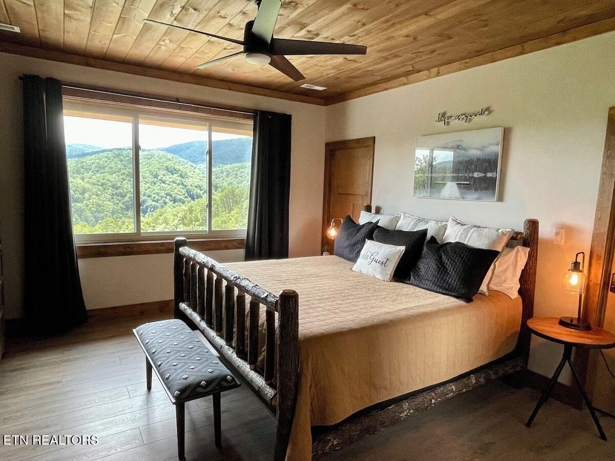 3142 Smoky Bluff Tr