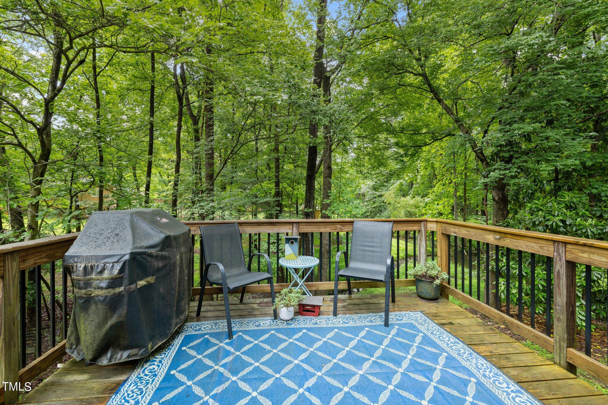 305 Forbush Mountain Drive