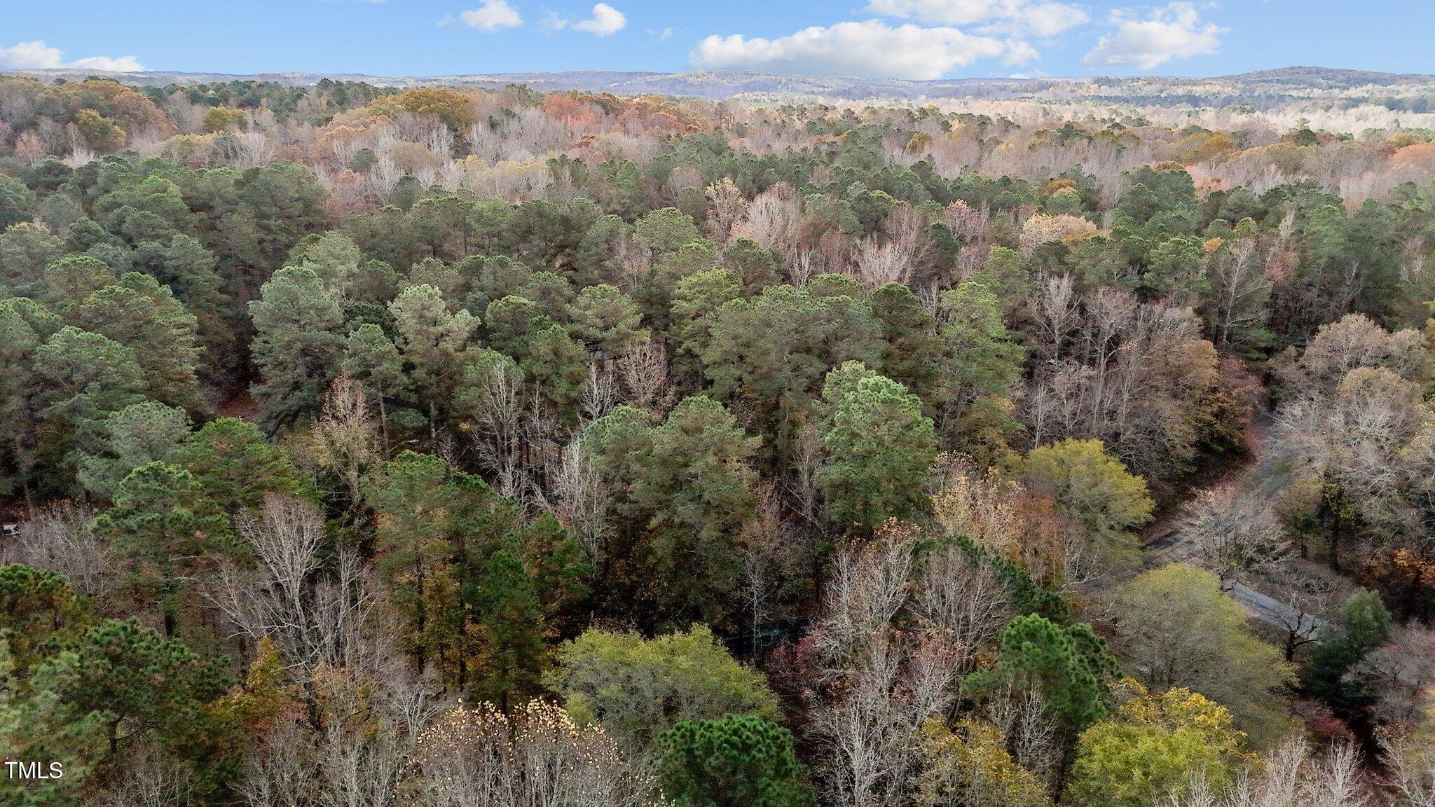 424 Forest Creek Drive