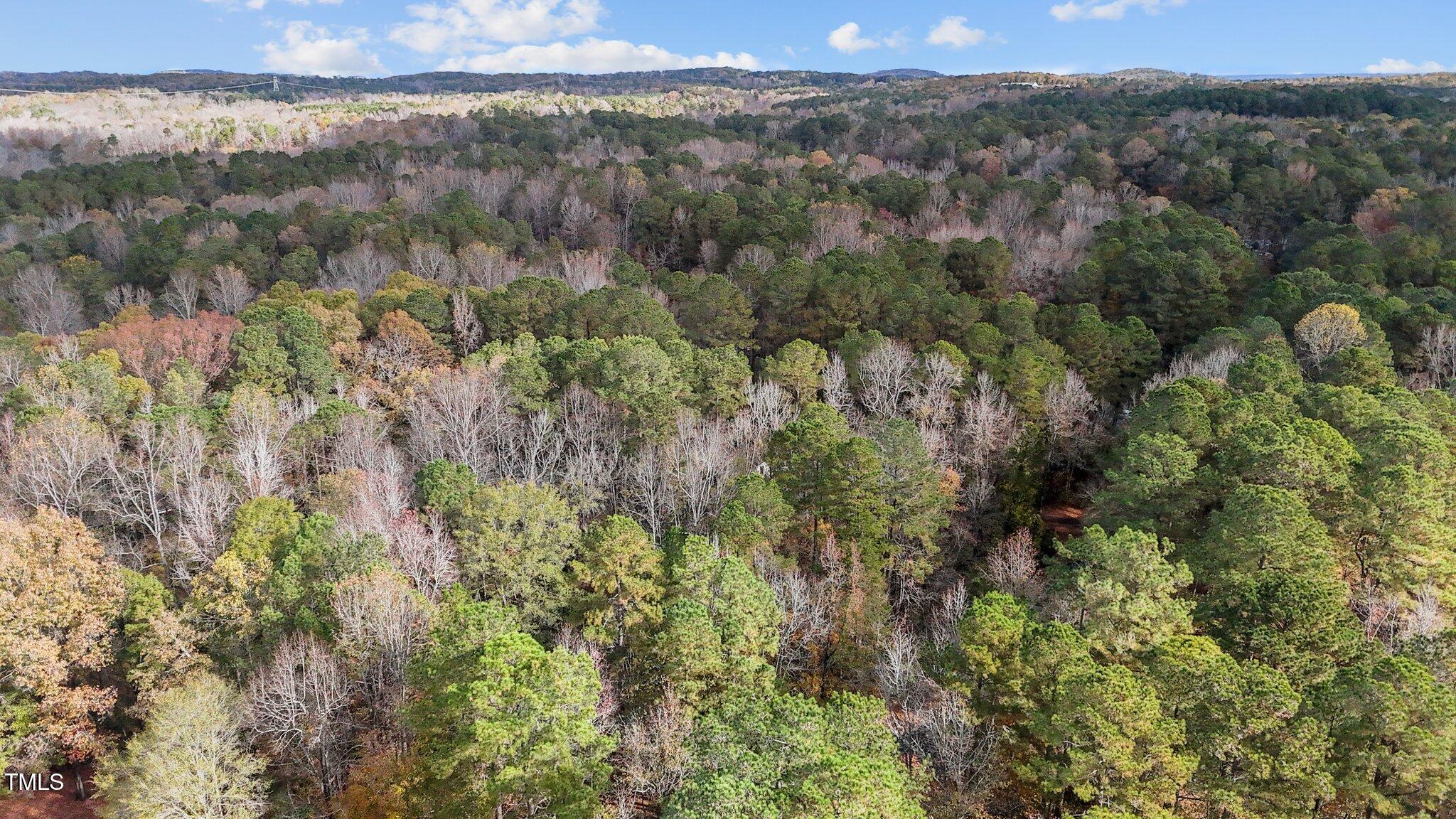 424 Forest Creek Drive