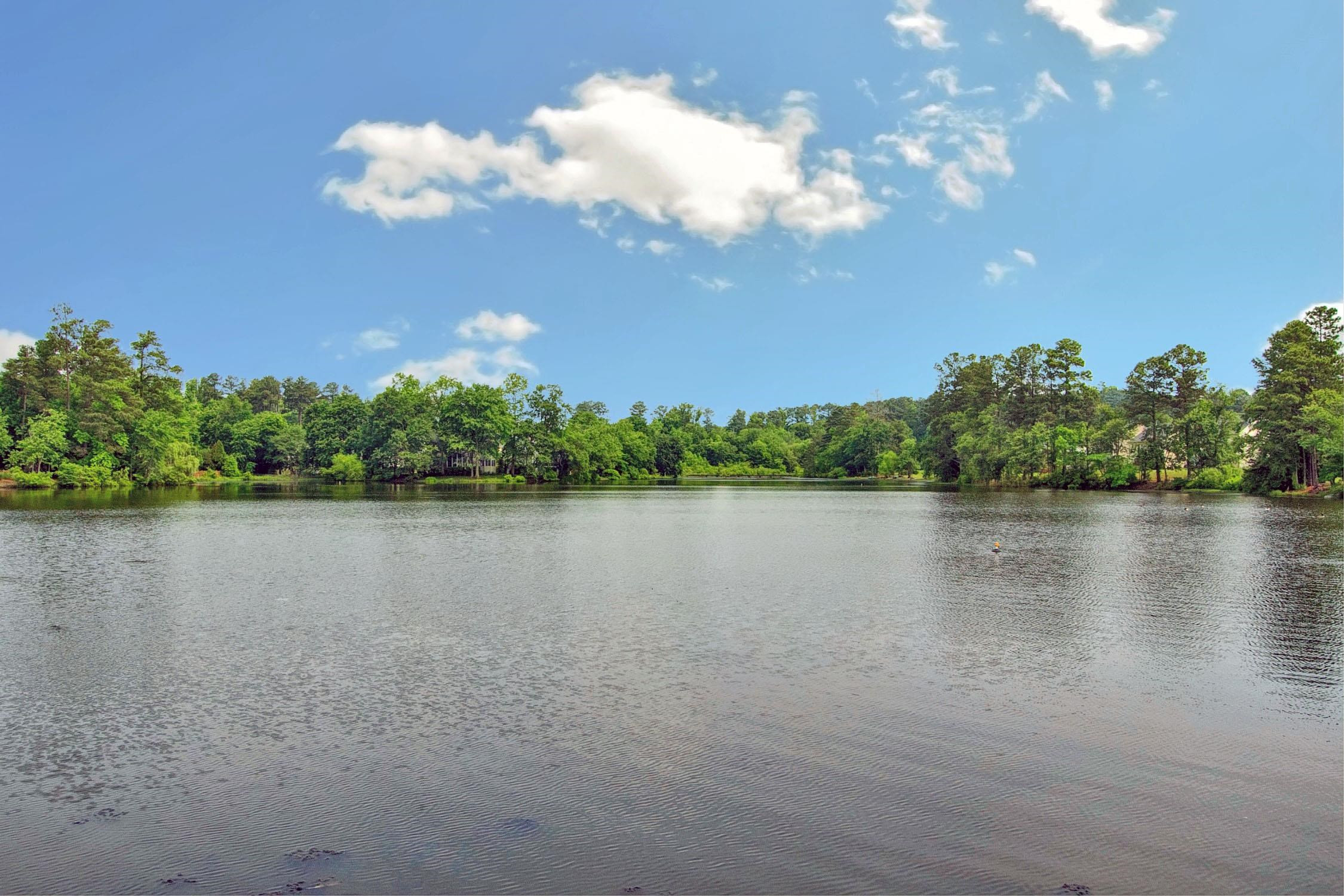 2321 Sapphire Valley Drive