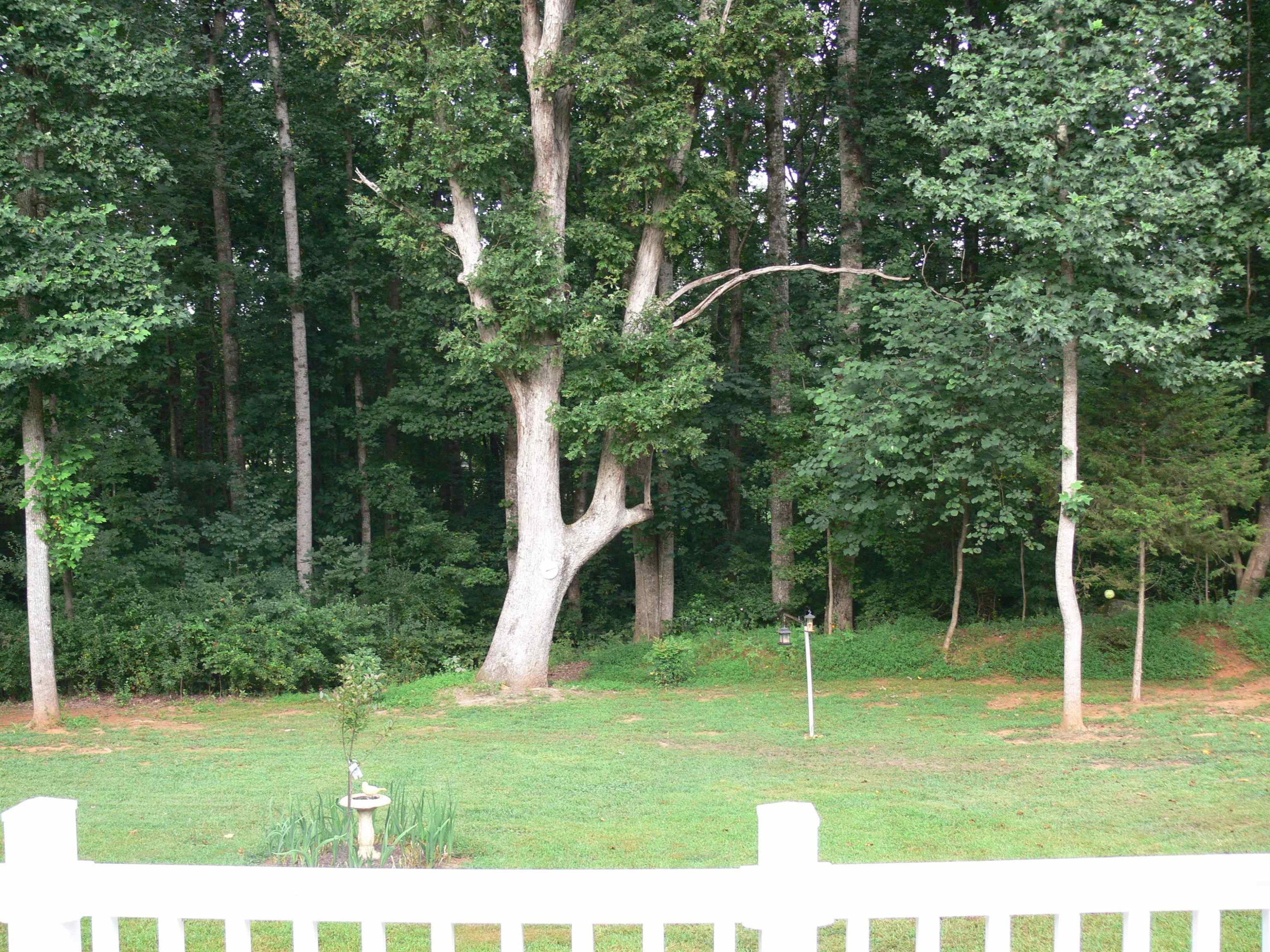 1567 Hadley Mill Road