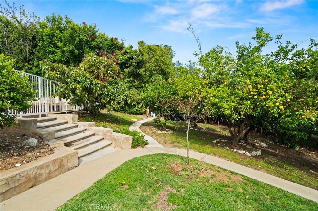 3336 Villa Mesa Road