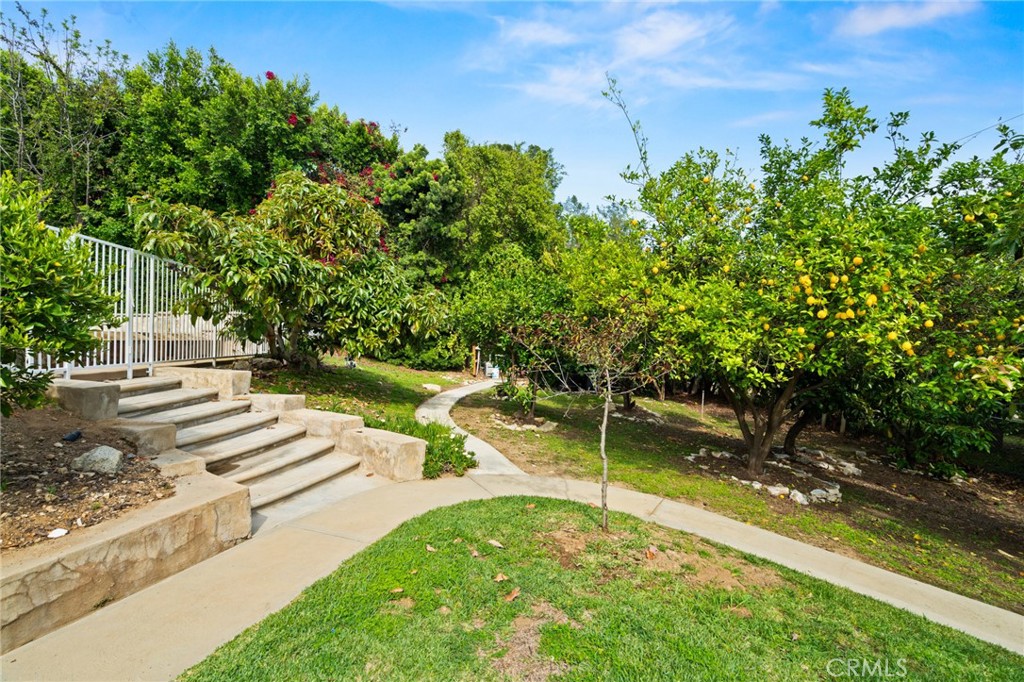 3336 Villa Mesa Road
