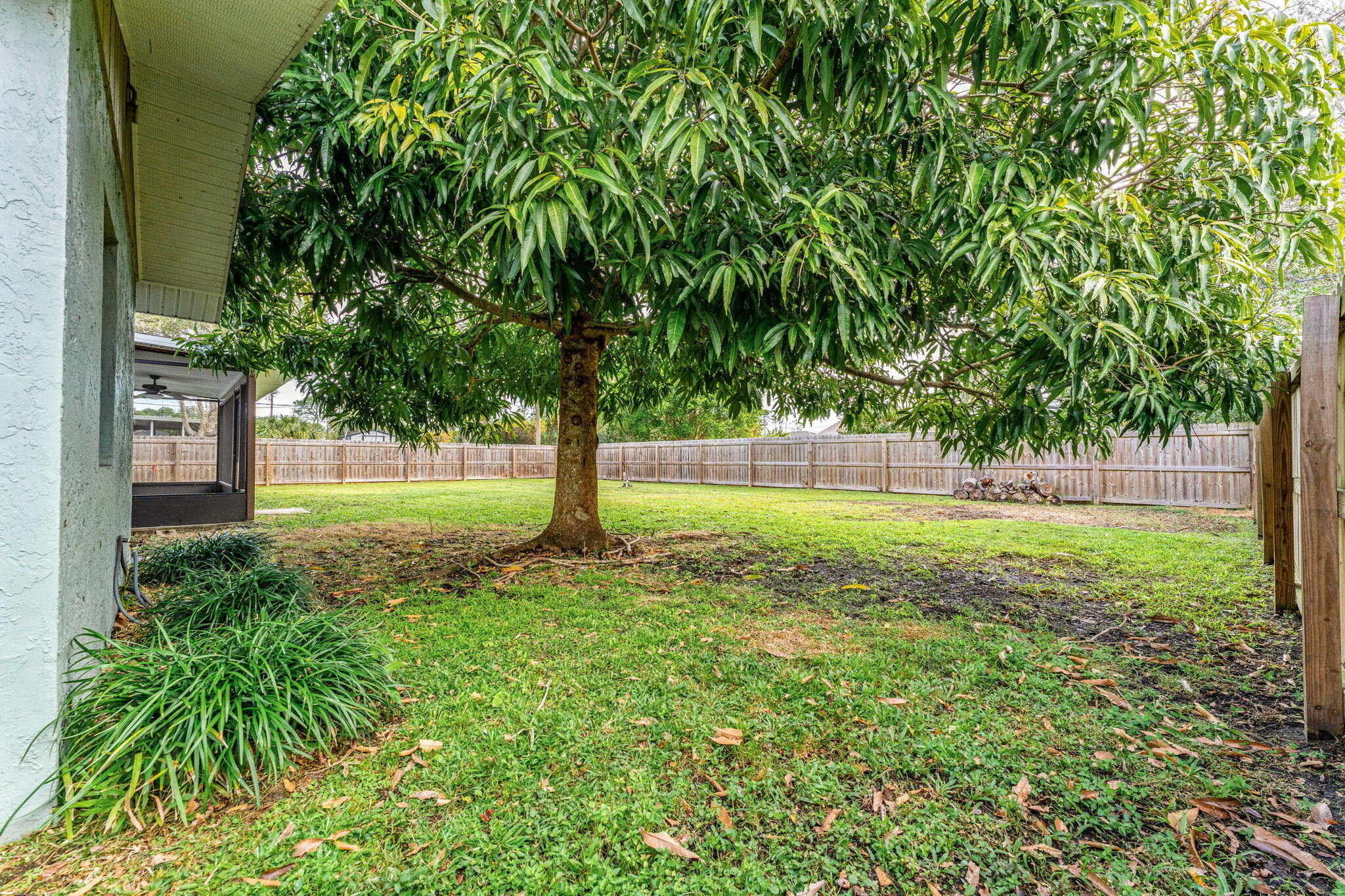321 Christmas Avenue SE