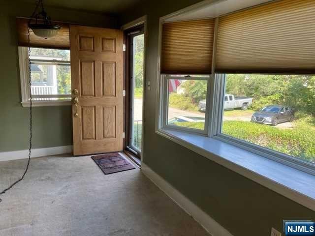 113 Brakeshoe Place