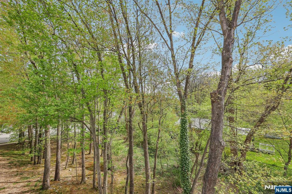 142 Raintree Lane