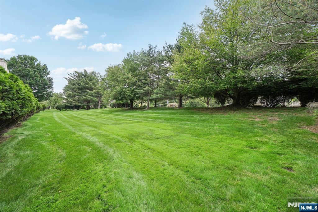 615 Blue Ridge Lane